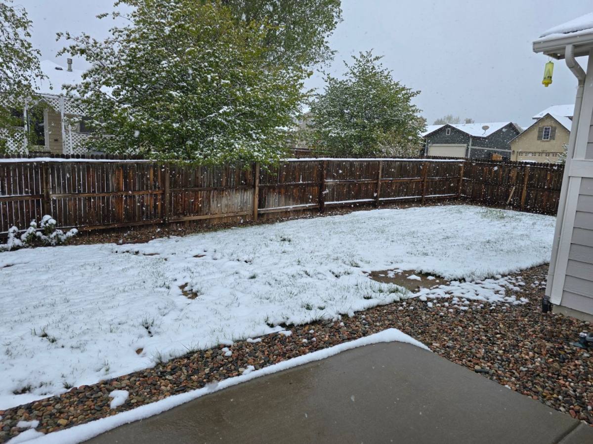 House for rent at 4424 Poplar Brook Dr, Colorado Springs, CO 80922