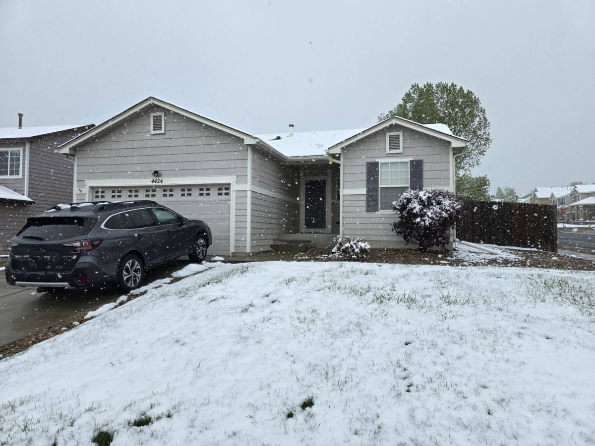 House for rent at 4424 Poplar Brook Dr, Colorado Springs, CO 80922