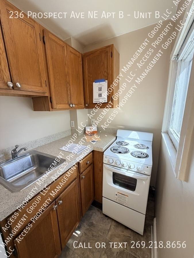 Apartment for rent at 236 Prospect Ave NE #B, Grand Rapids, MI 49503