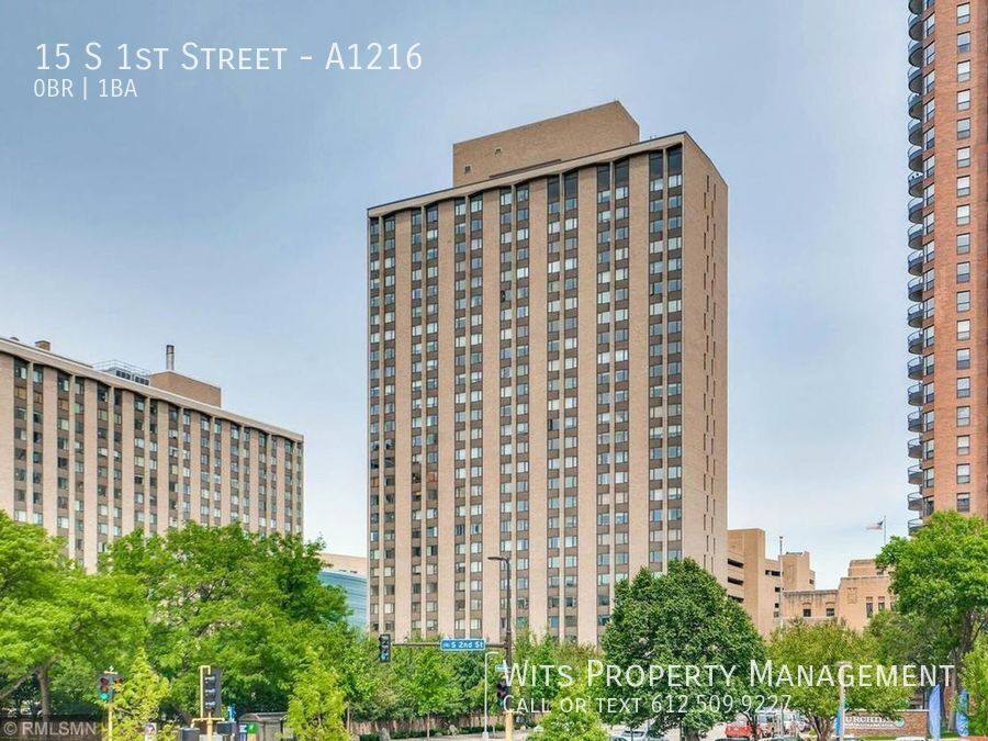 Apartment for rent at 15 S 1st St #A1216, Minneapolis, MN 55401