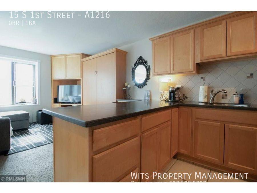 Apartment for rent at 15 S 1st St #A1216, Minneapolis, MN 55401