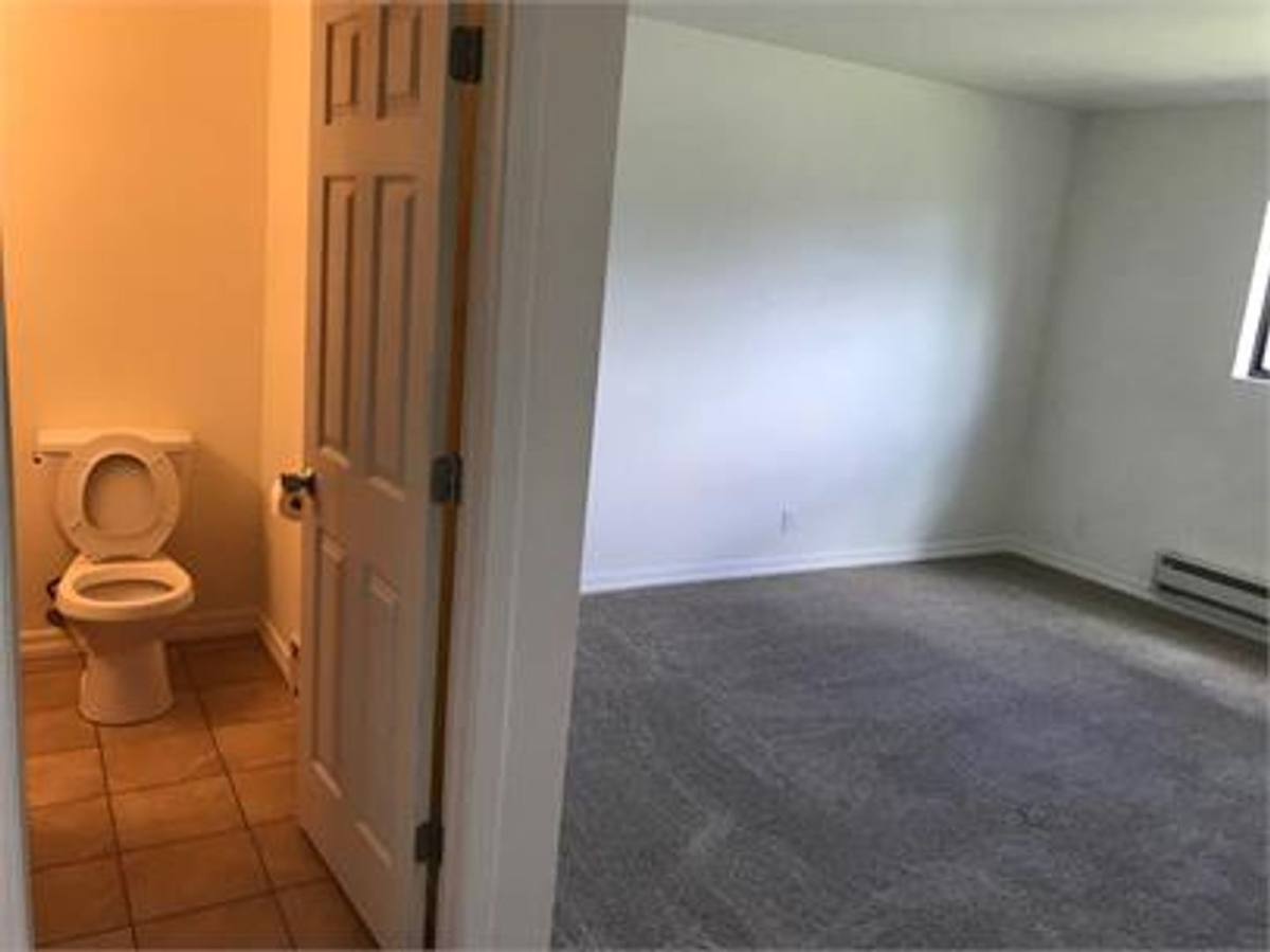 Apartment for rent at 1208 Avenida Del Sol #414, Durango, CO 81301
