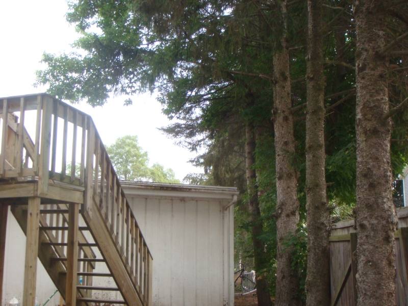 Apartment for rent at 1100 W Campus Dr #1, Mount Pleasant, MI 48858