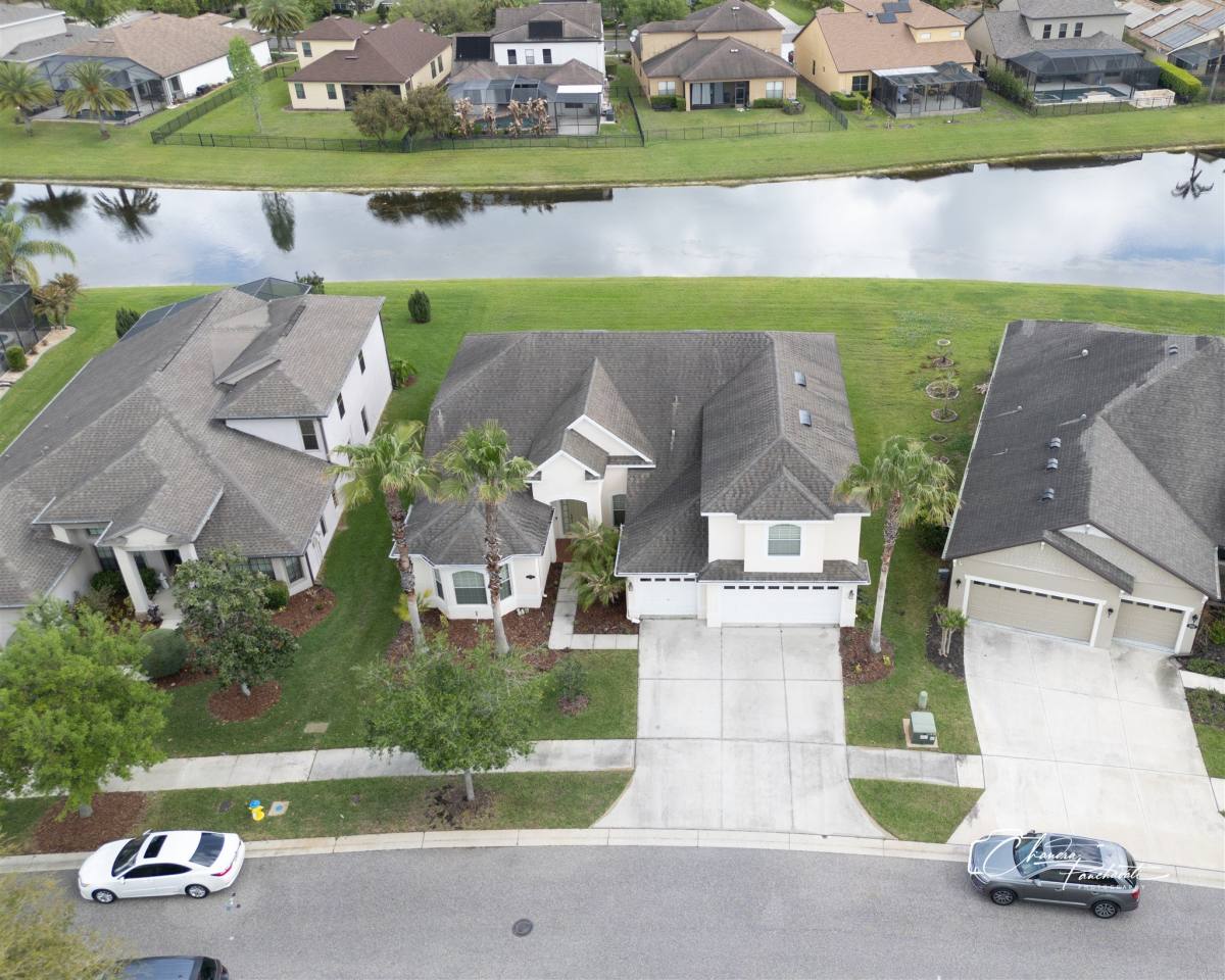 House for rent at 19305 Yellow Clover Dr, Tampa, FL 33647