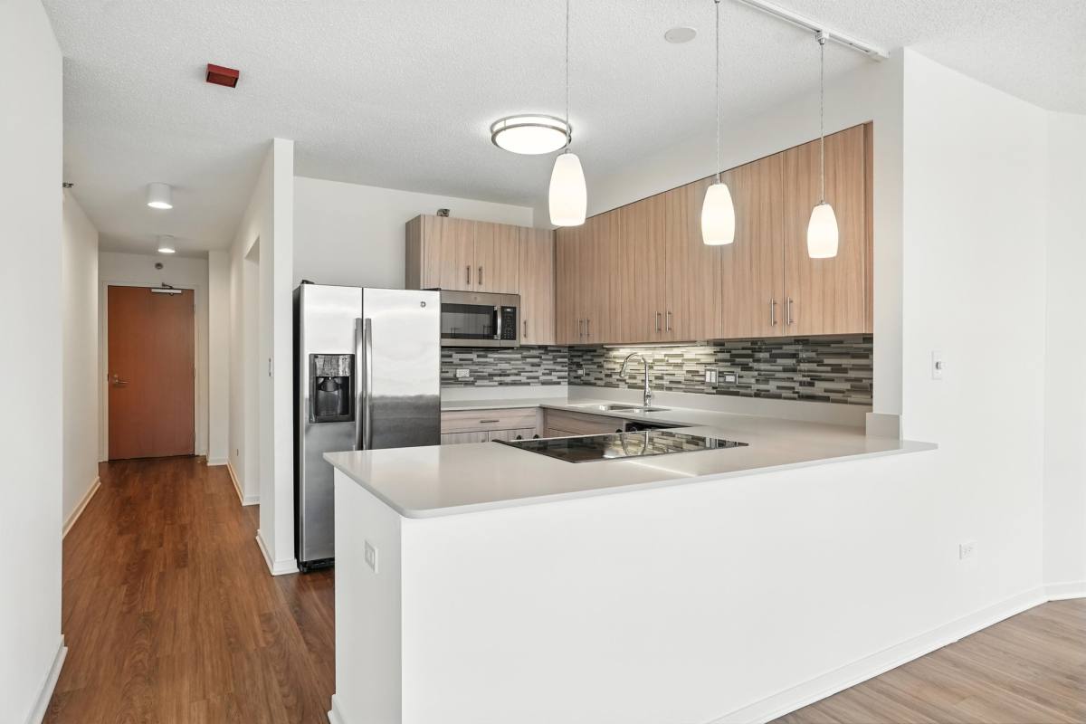 Apartment for rent at 542 N Kingsbury, Chicago, IL 60654