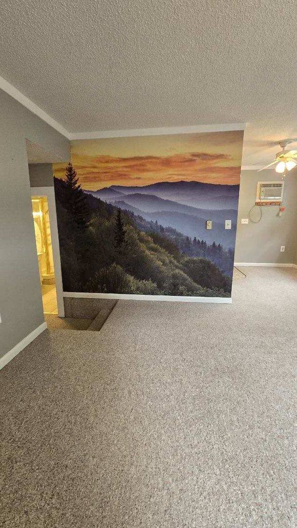 House for rent at 40 Walnut Run, Bryson City, NC 28713