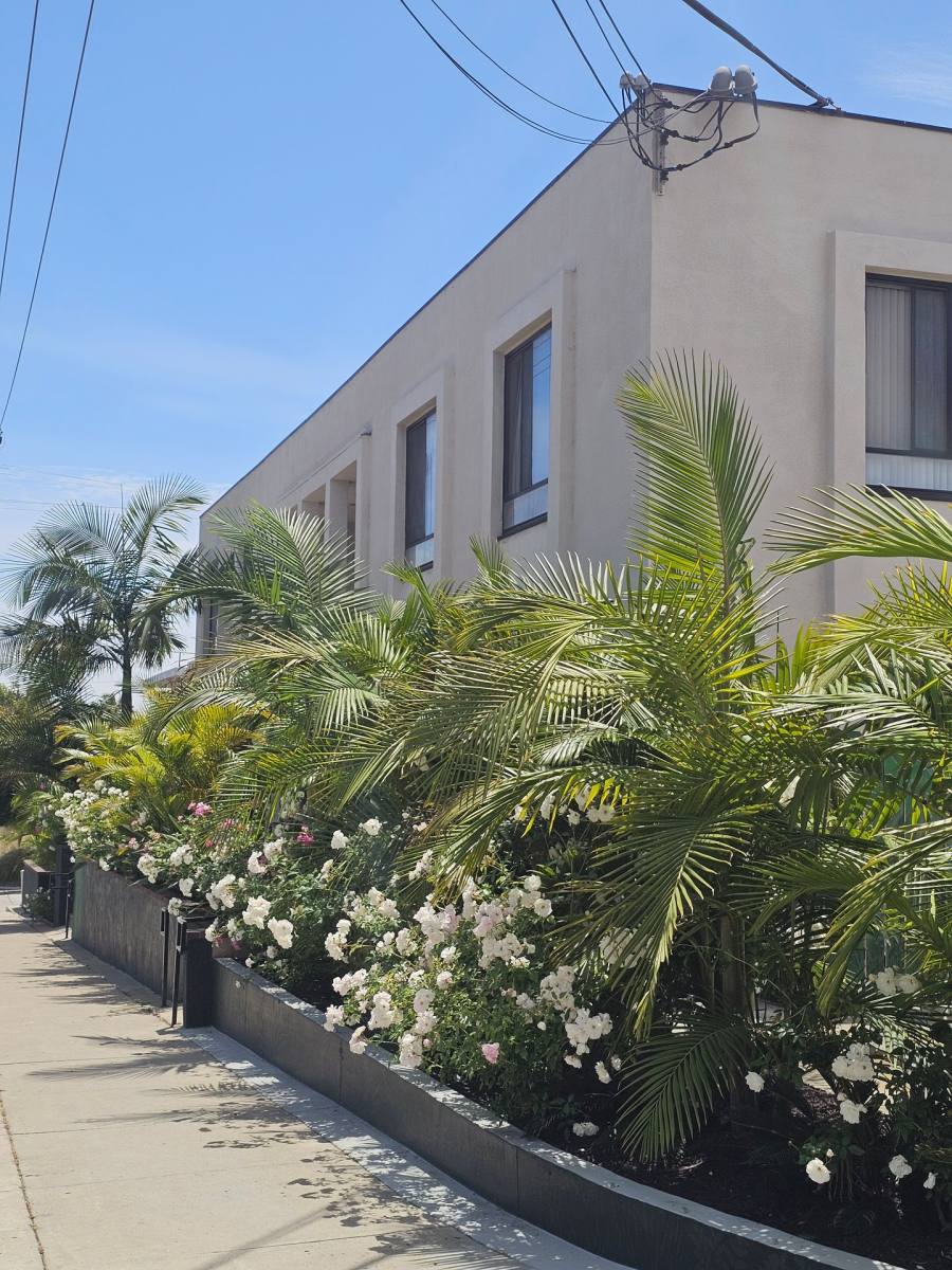 Apartment for rent at 4640 Jewell St, San Diego, CA 92109