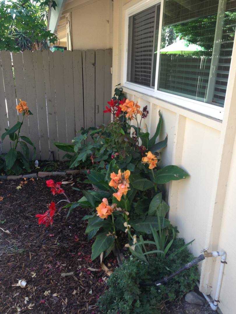 Condo for rent at 17952 Ranch Dr, Yorba Linda, CA 92886