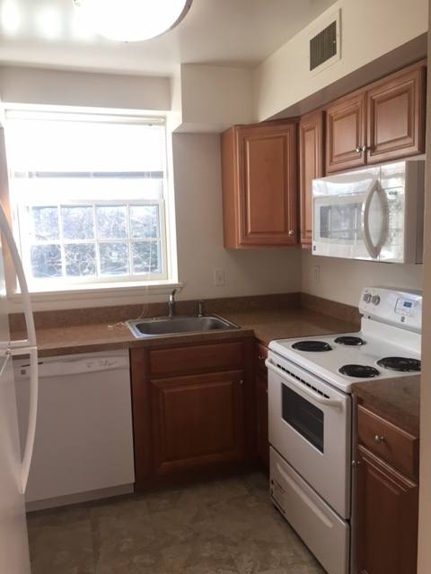 Apartment for rent at 3861 Newark St NW, Washington, DC 20016