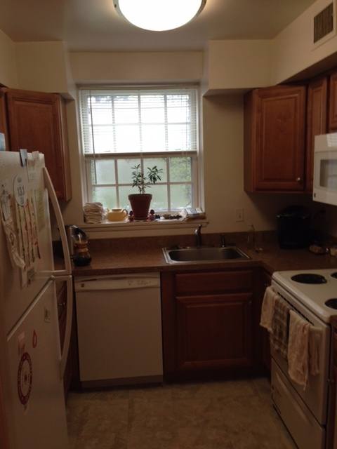 Apartment for rent at 3861 Newark St NW, Washington, DC 20016