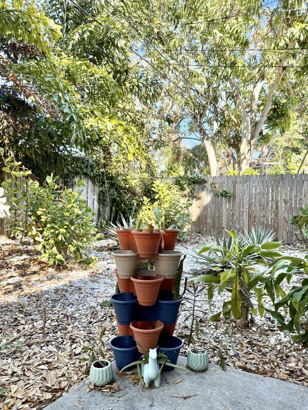 Apartment for rent at 725 14th Ave S #D, Saint Petersburg, FL 33701