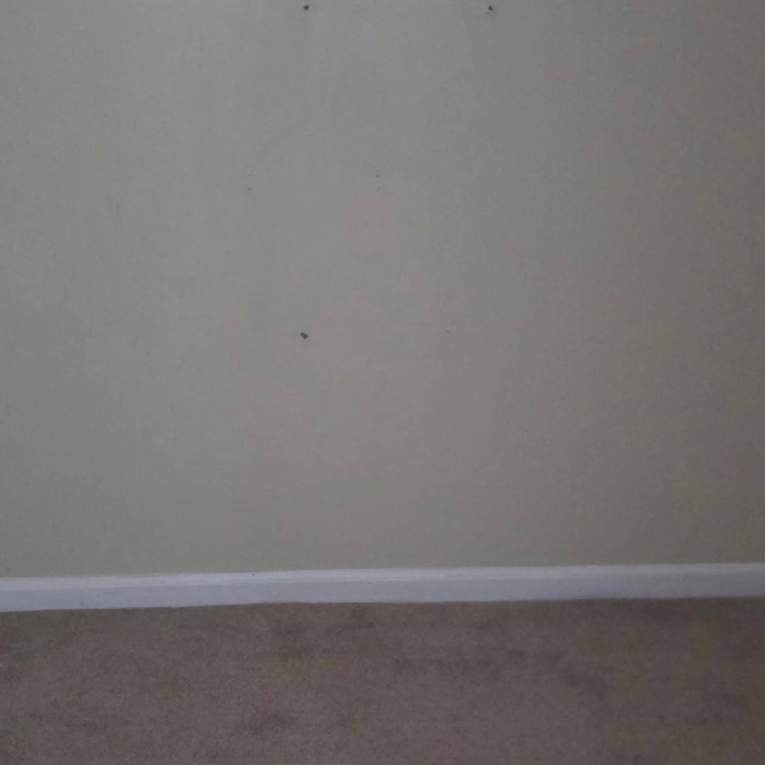 House for rent at 484 Tamarac St, Altamonte Springs, FL 32714