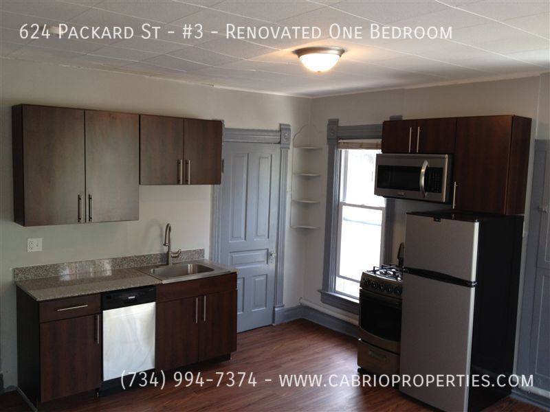 Apartment for rent at 624 Packard St #3-RENOVATED One, Ann Arbor, MI 48104