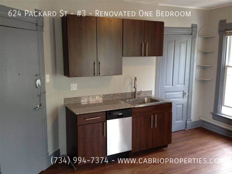 Apartment for rent at 624 Packard St #3-RENOVATED One, Ann Arbor, MI 48104