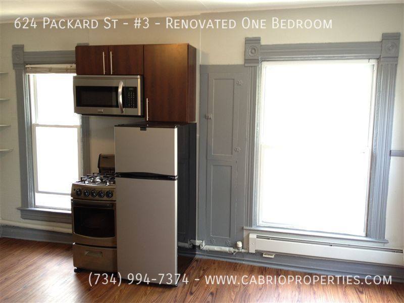Apartment for rent at 624 Packard St #3-RENOVATED One, Ann Arbor, MI 48104