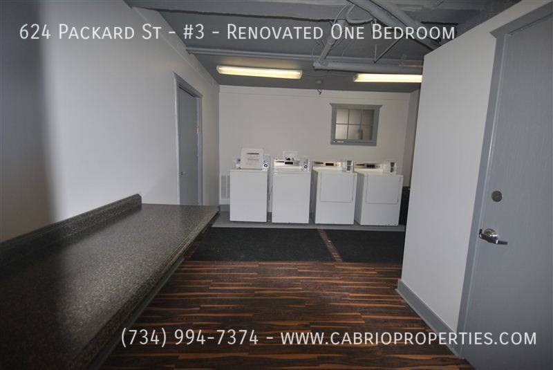 Apartment for rent at 624 Packard St #3-RENOVATED One, Ann Arbor, MI 48104