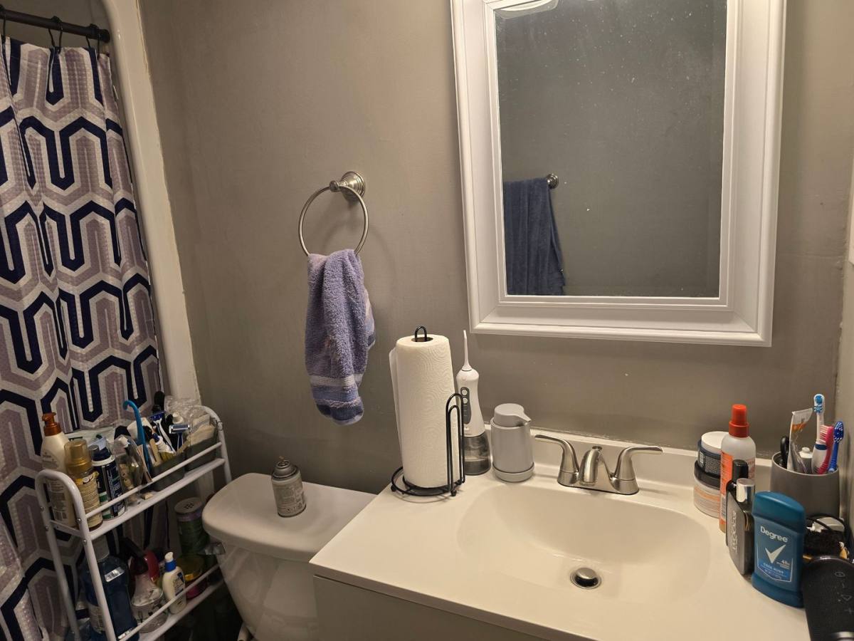 Apartment for rent at 505 W Springfield Ave, Urbana, IL 61801