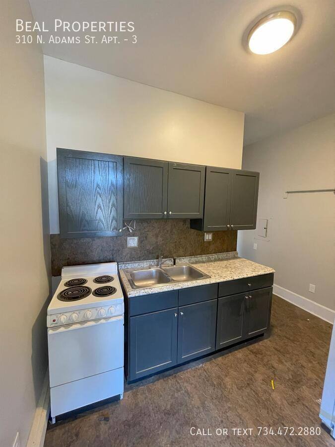 Apartment for rent at 310 N Adams St #3, Ypsilanti, MI 48197