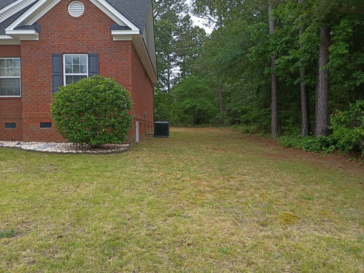 House for rent at 562 Vintage Pine Dr, Blythewood, SC 29016