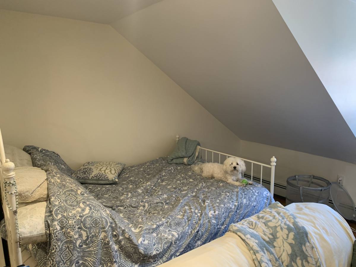 Apartment for rent at 44 Irving St #4, Boston, MA 02114