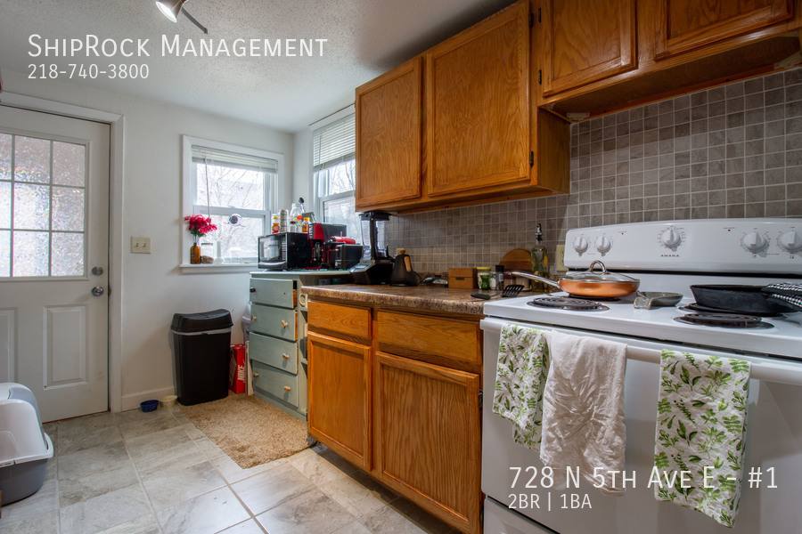 Apartment for rent at 728 N 5th Ave E #1, Duluth, MN 55805