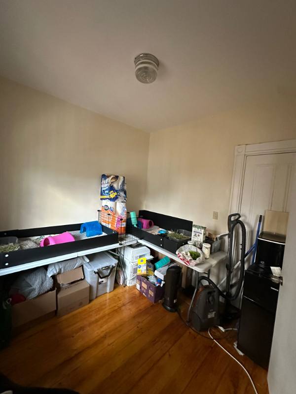 Apartment for rent at 9 Cardington St #2, Roxbury, MA 02119