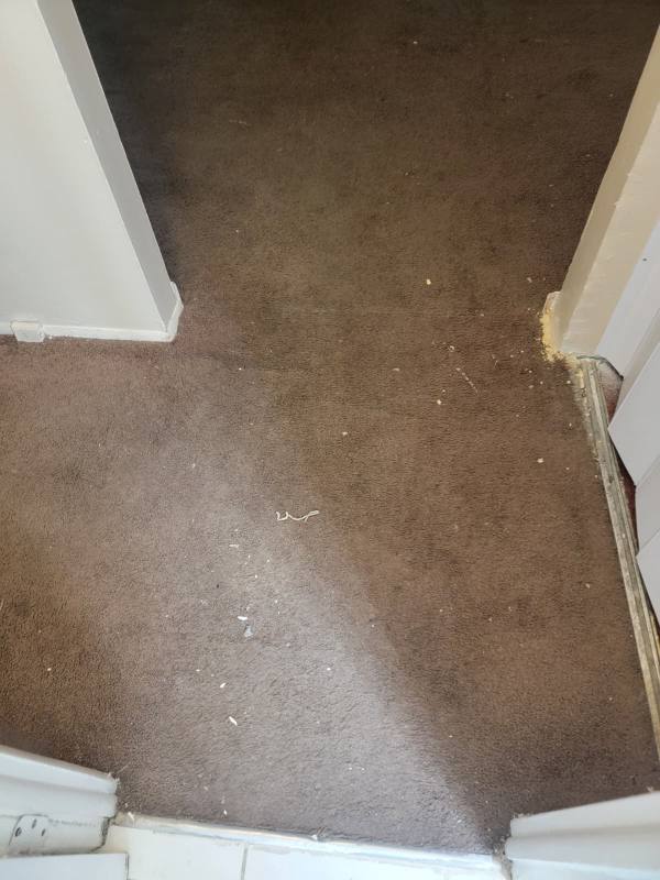 Apartment for rent at 13540 Superior Rd #212, Cleveland, OH 44112