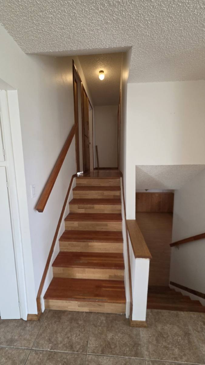 House for rent at 6615 Player Place, Colorado Springs, CO 80911
