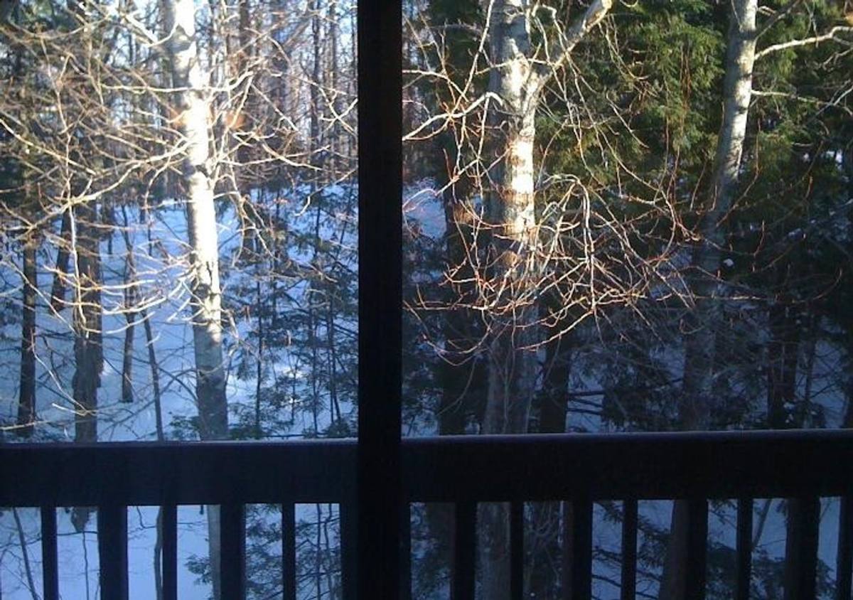 Apartment for rent at 1000-1142 Northland Dr, Marquette, MI 49855