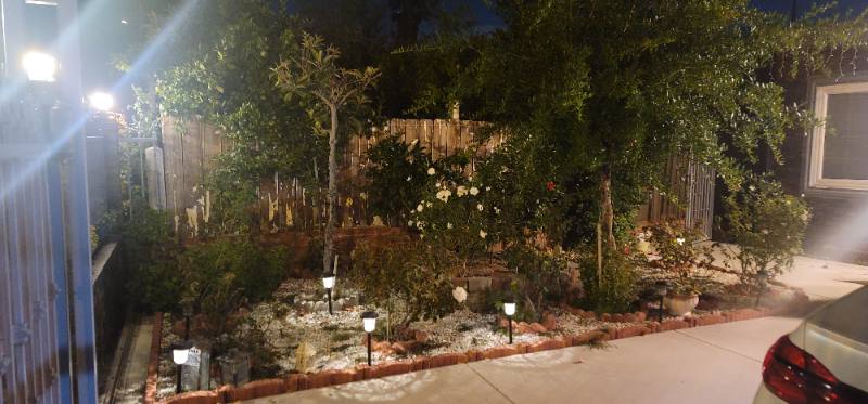 House for rent at 10019 Tujunga Canyon Blvd, Tujunga, CA 91042