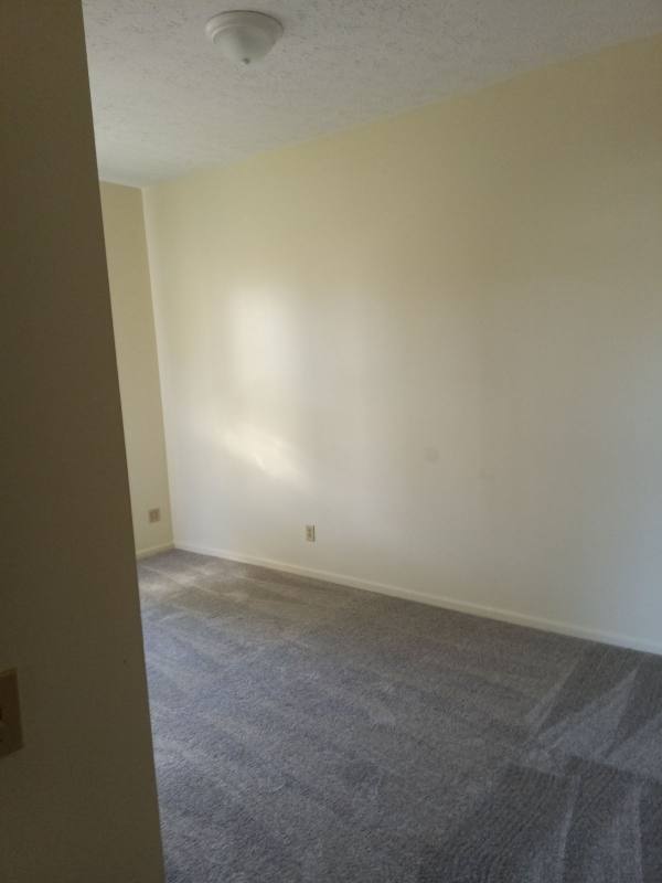Apartment for rent at 913 S Limestone St, Springfield, OH 45505