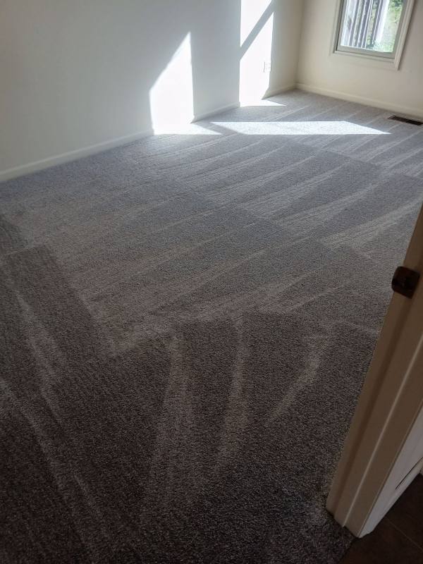 Apartment for rent at 913 S Limestone St, Springfield, OH 45505