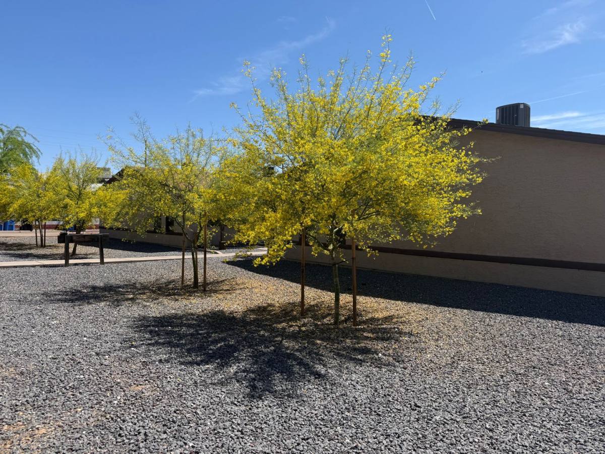 Apartment for rent at 323 E Purdue Ave, Phoenix, AZ 85020