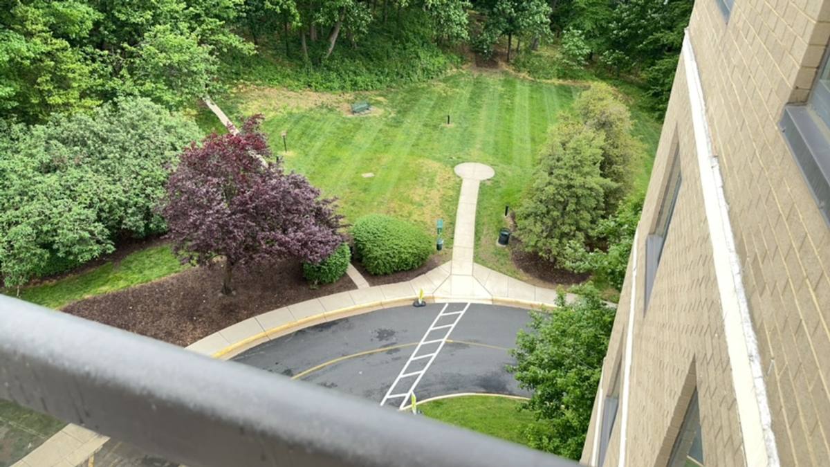 Condo for rent at 203 Yoakum Parkway, Alexandria, VA 22304