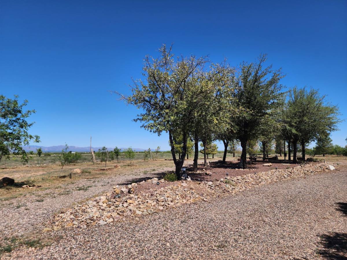 House for rent at 1050 W Rochin Rd, Douglas, AZ 85607