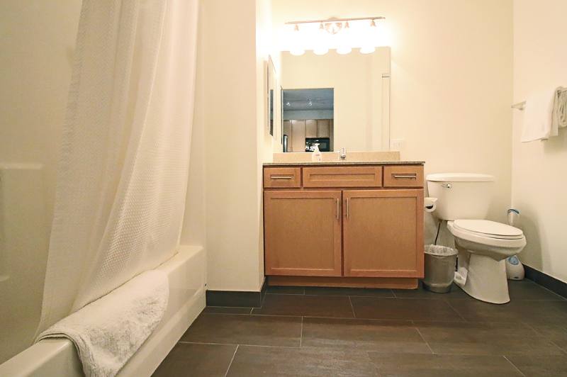 Apartment for rent at 871 S Clark St, Chicago, IL 60605