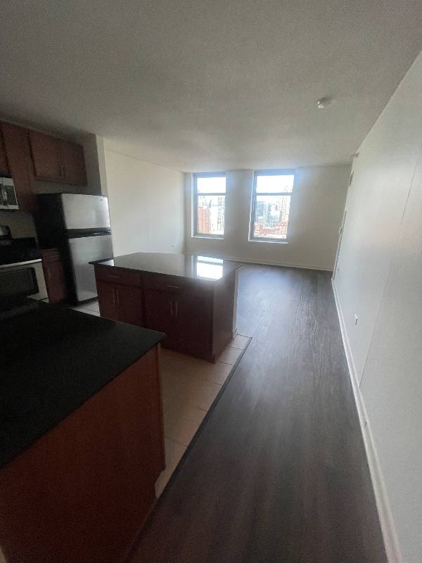 Apartment for rent at 579 W Kinzie, Chicago, IL 60654
