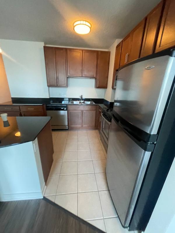 Apartment for rent at 579 W Kinzie, Chicago, IL 60654