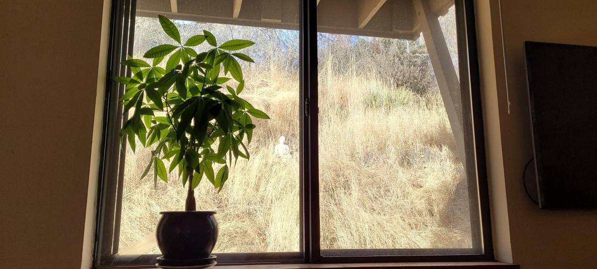Apartment for rent at Sunset Hill, 2445 19th St #B, Boulder, CO 80304