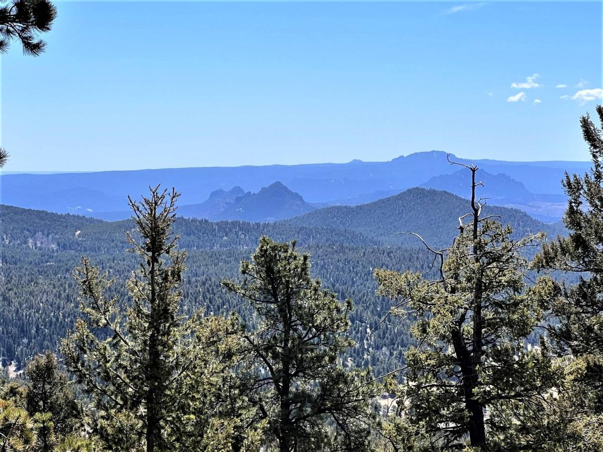 House for rent at Kings Valley, 11730 Baca Rd, Conifer, CO 80433