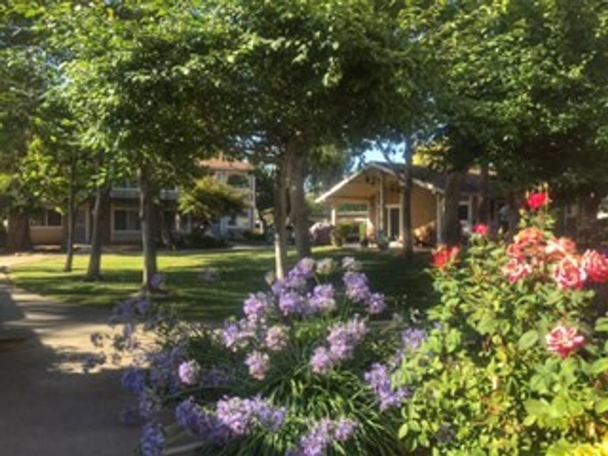 Apartment for rent at 260 Berry Court, Morgan Hill, CA 95037