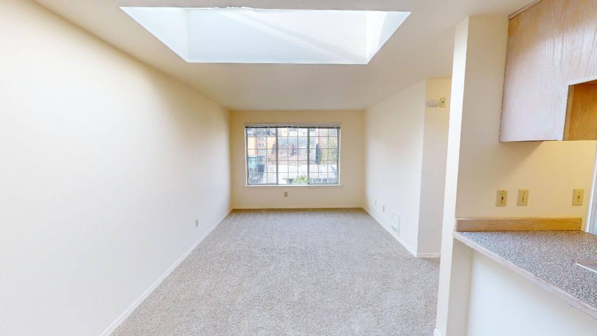 5307 Ravenna Place NE, Seattle, WA 98105 - Apartment for Rent - Image 9