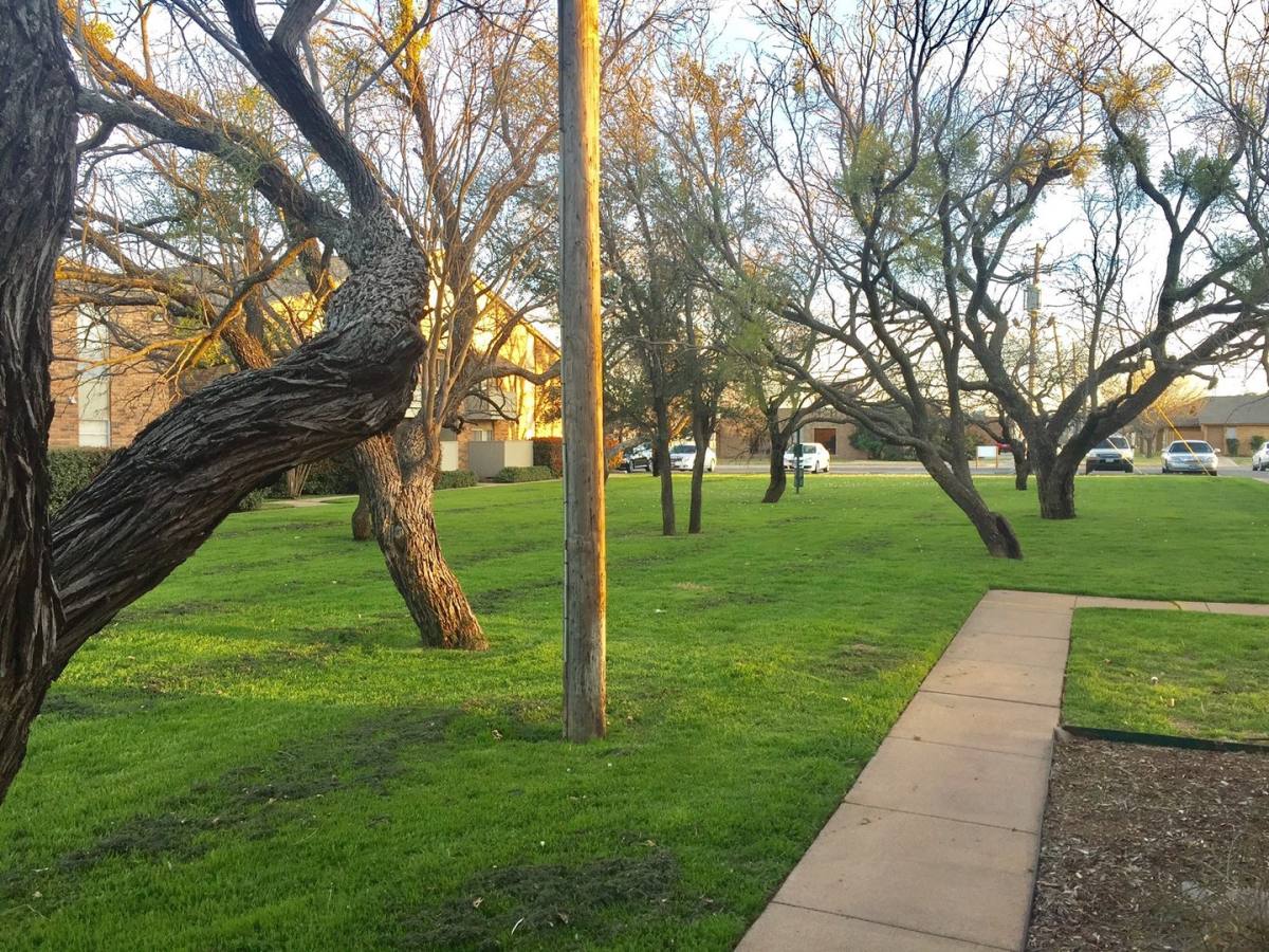 Apartment for rent at 750 N Judge Ely Blvd #116, Abilene, TX 79601