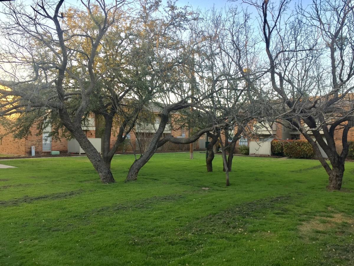Apartment for rent at 750 N Judge Ely Blvd #116, Abilene, TX 79601
