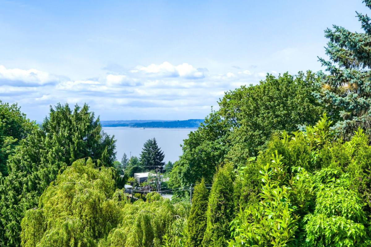 House for rent at 7311 40th Ave SW, Seattle, WA 98136