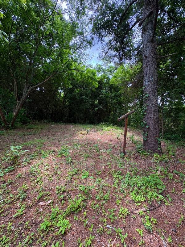 House for rent at 1425 Hibernian St, Birmingham, AL 35214