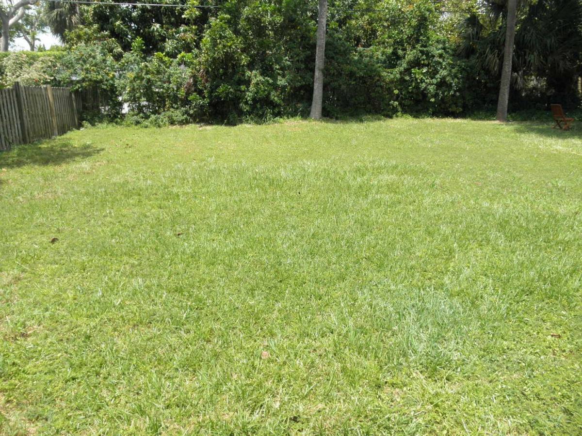 House for rent at 431 Virginia Dr, Lake Worth, FL 33461
