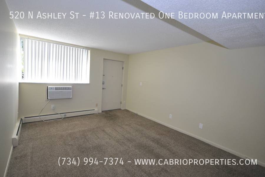 Townhouse for rent at 520 N Ashley St #13, Ann Arbor, MI 48103