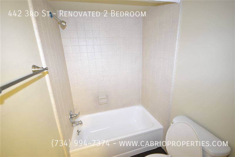 Apartment for rent at 442 3rd St #RENOVATED, Ann Arbor, MI 48103