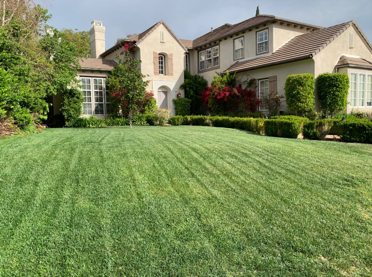 House for rent at 26803 Mont Calabasas Dr, Calabasas, CA 91302